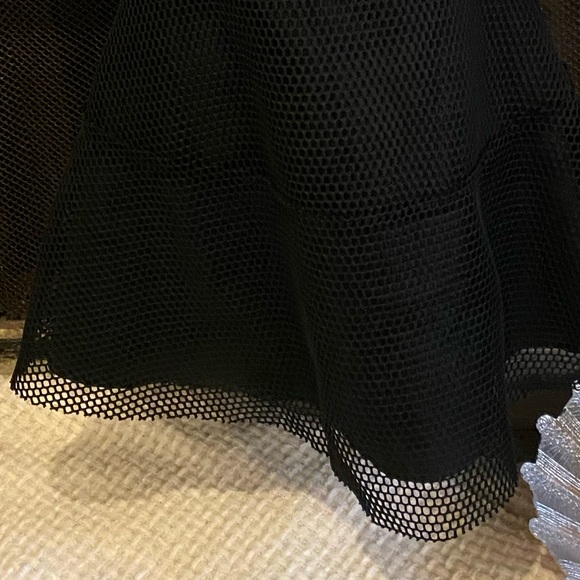 Black Flared Netted Dress - Picture 6 of 6